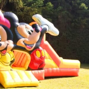 renta de tobogan inflable