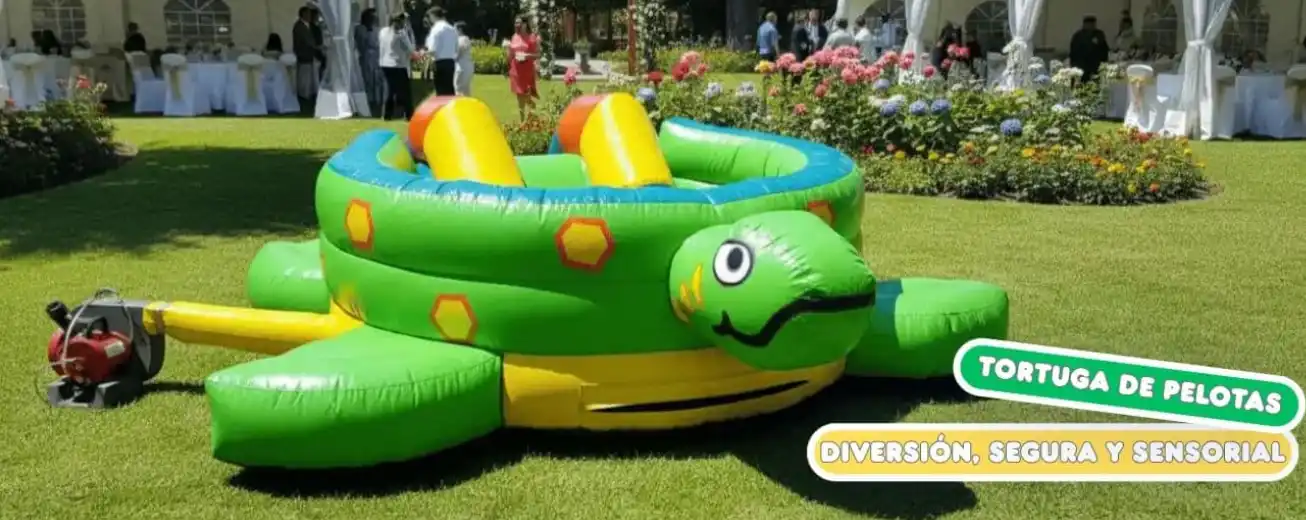 alberca de pelotas